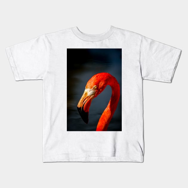 Flamingo Kids T-Shirt by cbernstein